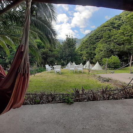 Nature Retreat - Laurel Forest Seixal  Dış mekan fotoğraf