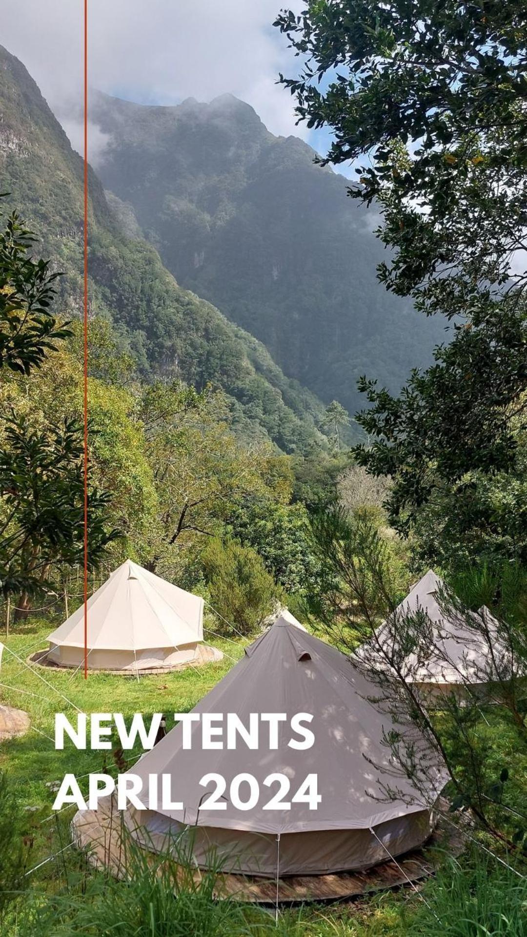 Nature Retreat - Laurel Forest Seixal  Dış mekan fotoğraf