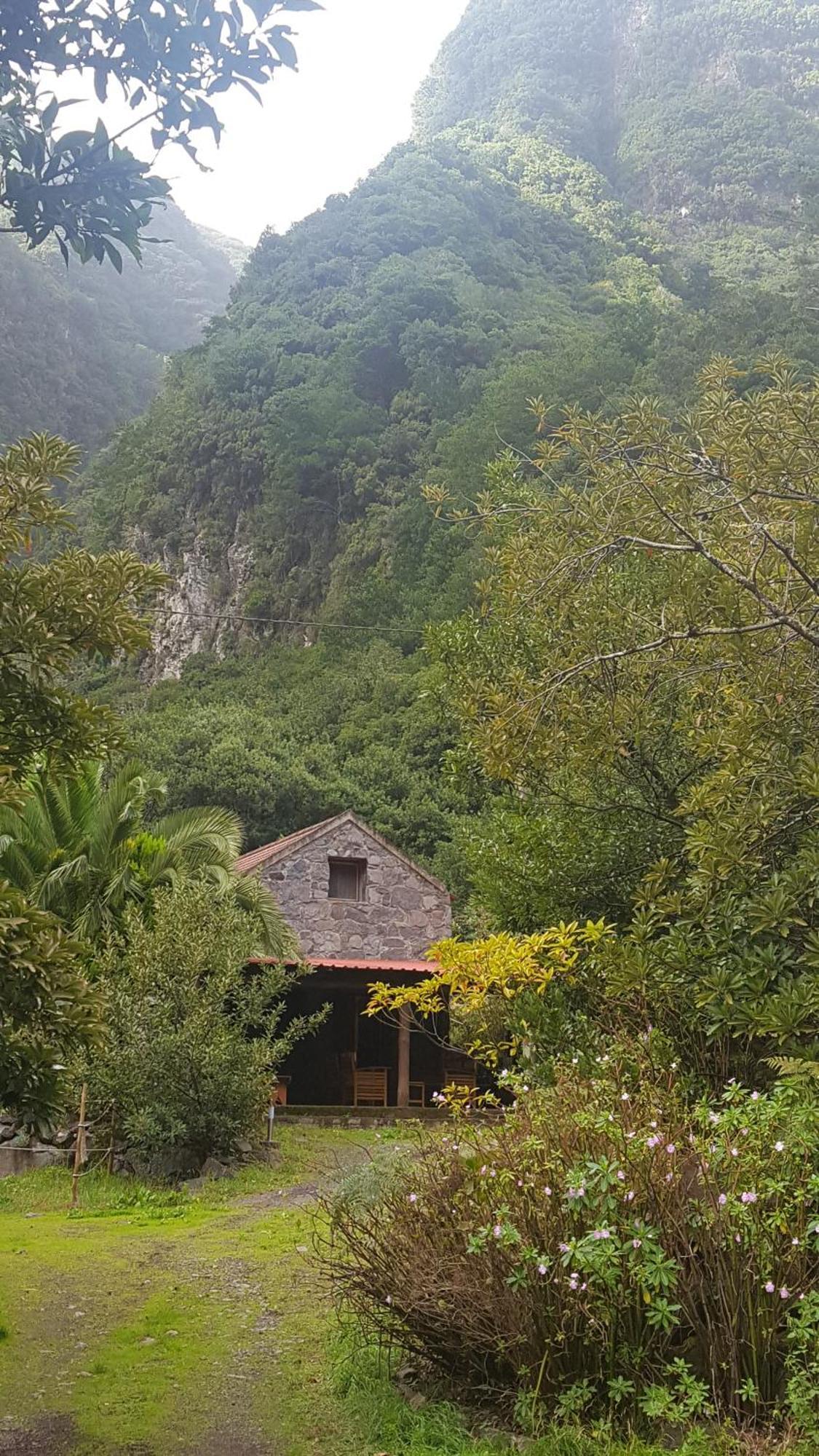 Nature Retreat - Laurel Forest Seixal  Dış mekan fotoğraf