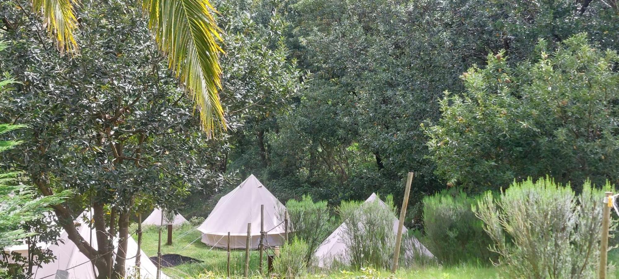 Nature Retreat - Laurel Forest Seixal  Dış mekan fotoğraf