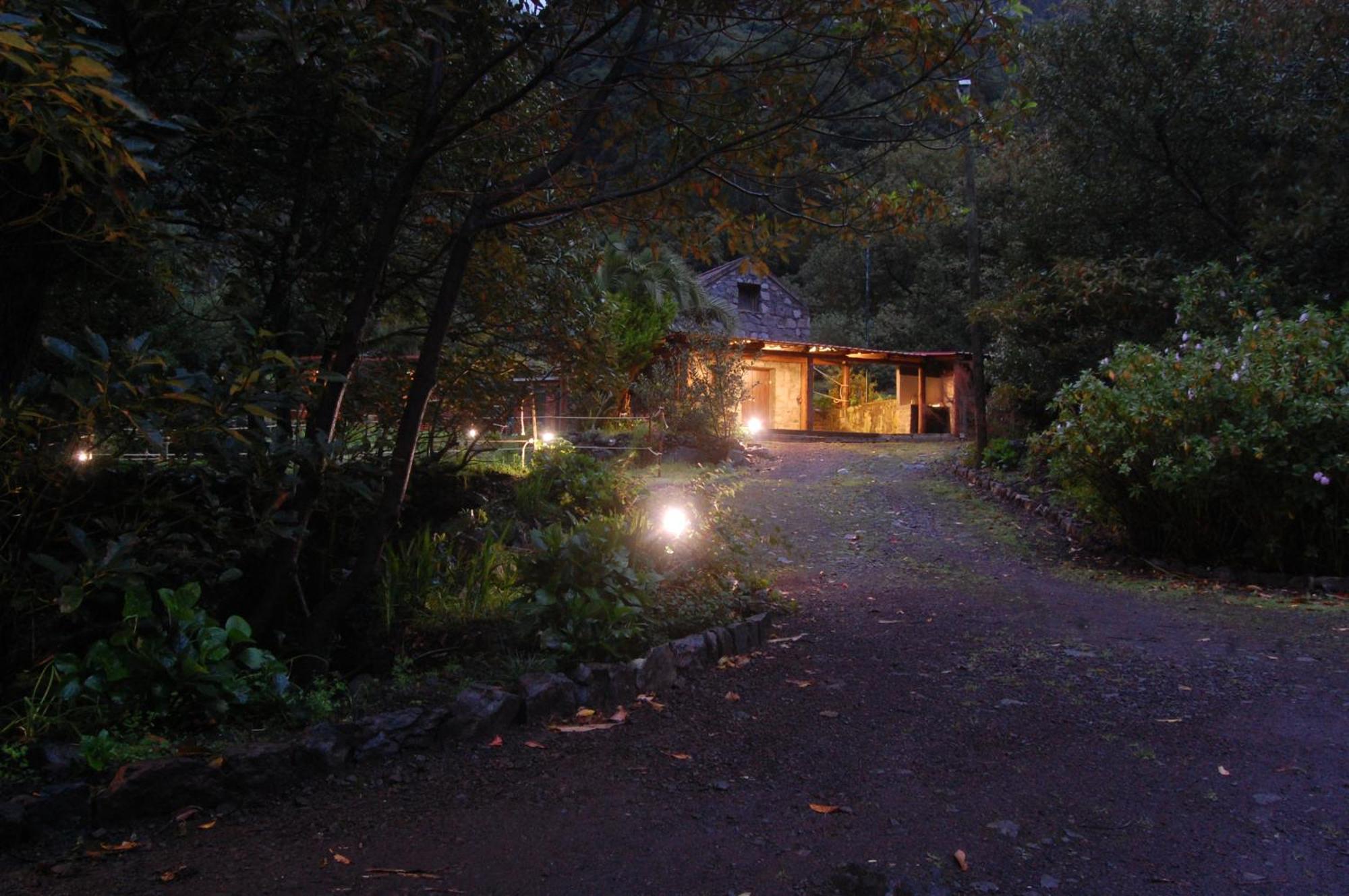 Nature Retreat - Laurel Forest Seixal  Dış mekan fotoğraf