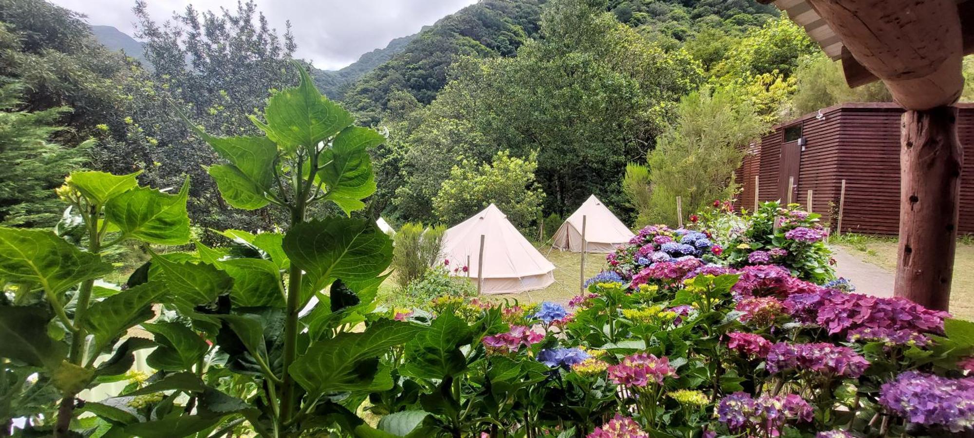 Nature Retreat - Laurel Forest Seixal  Dış mekan fotoğraf